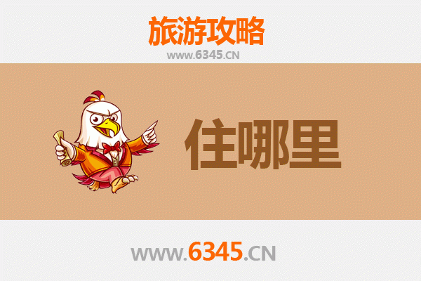 江门新会民宿全攻略：古韵今风，邂逅岭南静谧时光